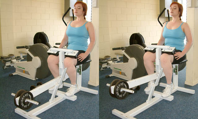 Calf raise exercise