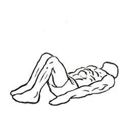 Hip thrust / kalça köprüsü hareketi